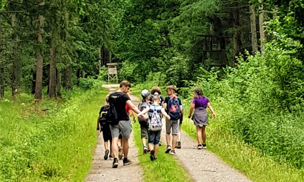 Kindercamp - Wald